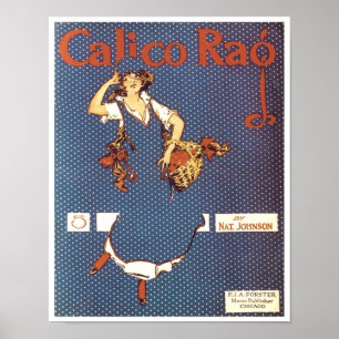 Pôster Cobrir de Canalização Calico Rag Vintage