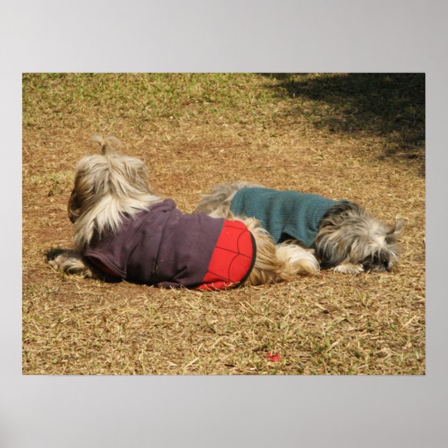 Poster Cochilando em Nong Khai (Frente)