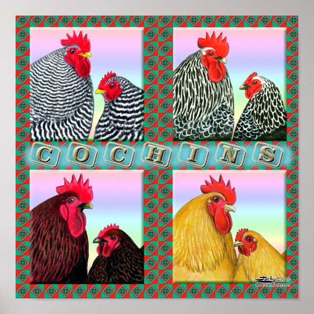 Pôster Cochins Four Colors (Frente)