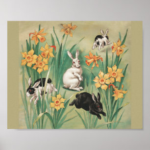 Poster Cochonilhas bonitas com Flores Daffodil Páscoa ant