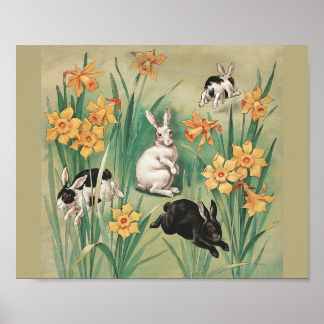 Poster Cochonilhas bonitas com Flores Daffodil Páscoa ant (Frente)
