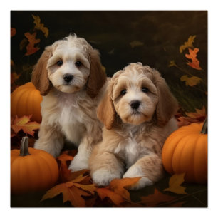Pôster Cockapoo Puppy Autumn Delight Pumpkin