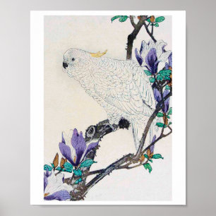 Poster Cockatoo e Lily Magnolia, Imao Keinen