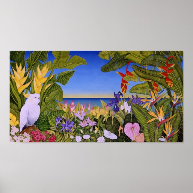 Pôster Cockatoon no Paraíso (Frente)