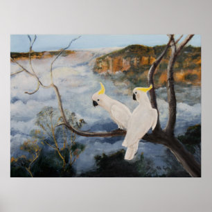 Pôster Cockatoos com crista do enxofre nas montanhas