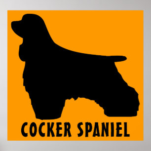 Pôster Cocker Spaniel