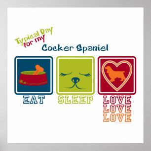 Pôster Cocker Spaniel