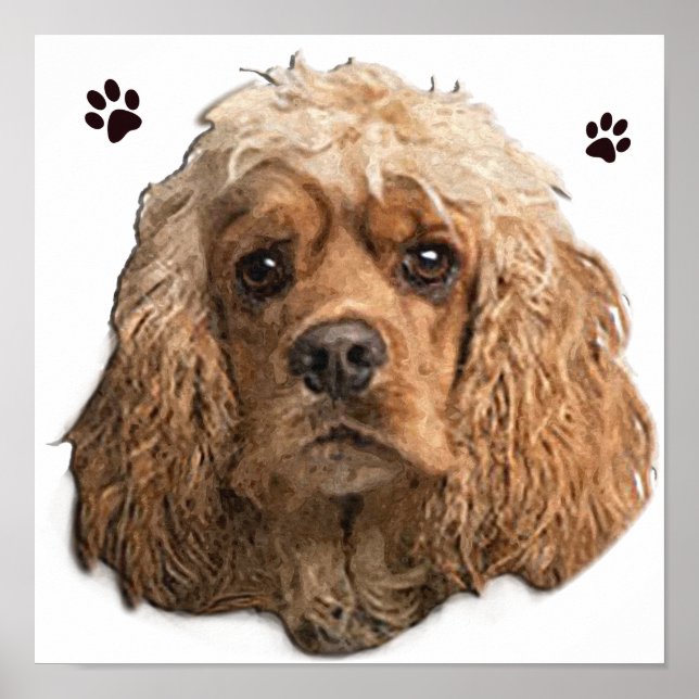 Poster Cocker Spaniel (Frente)