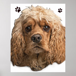 Poster Cocker Spaniel