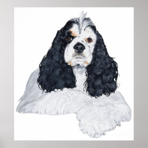Pôster Cocker Spaniel Americano