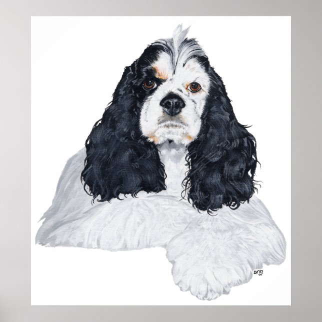 Pôster Cocker Spaniel Americano (Frente)