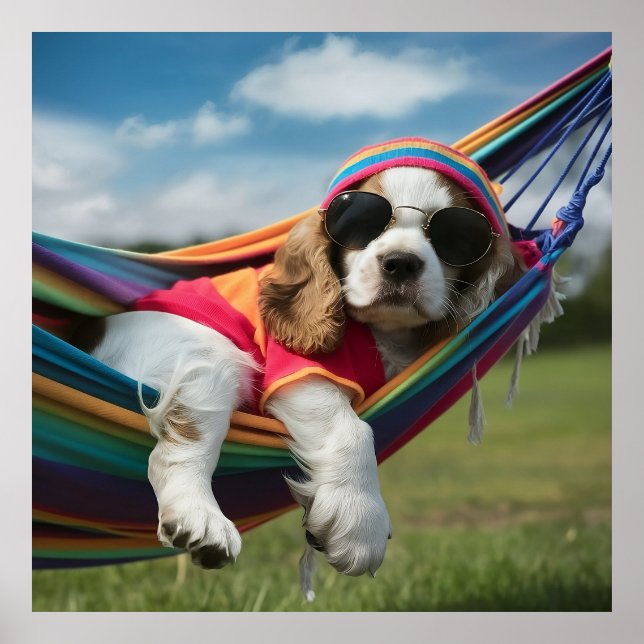 Poster Cocker Spaniel dormindo em uma Hammock (Frente)