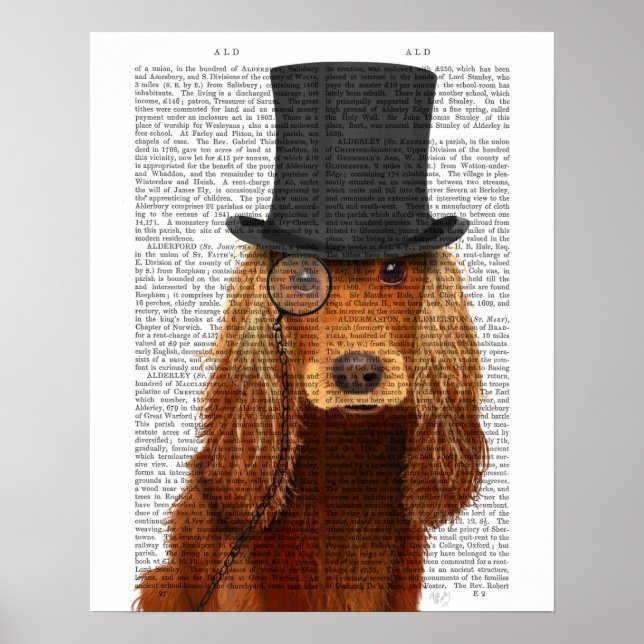 Poster Cocker Spaniel, Formal Hound e Chapéu (Frente)