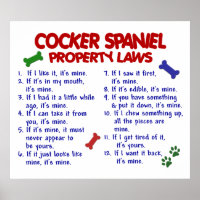 COCKER SPANIEL PL2