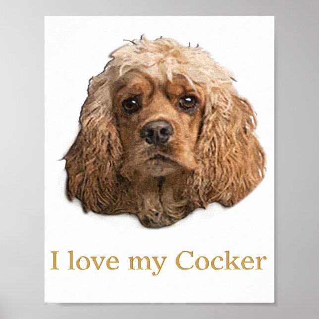 Poster Cocker Spaniels (Frente)