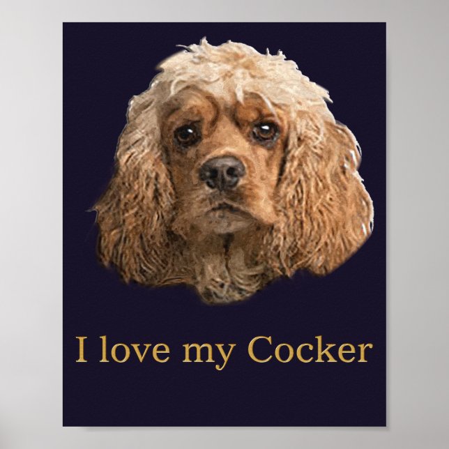 Poster cocker Spaniels (Frente)