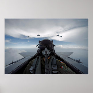 Pôster Cockpit Selfie