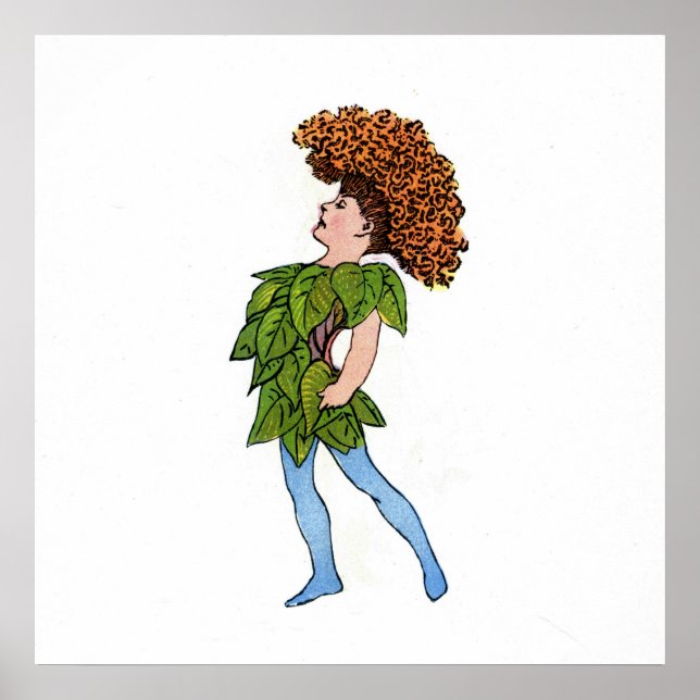 Pôster Cocks-Comb (Frente)