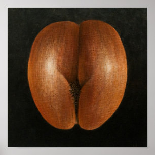 Pôster Coco de Mer 2010