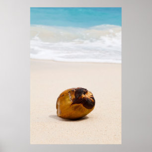 Poster Coco numa praia tropical
