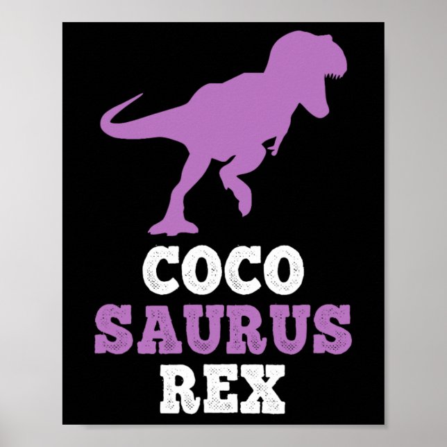Poster Coco-saurus Rex Dino Dinossauro Cocosaurus Engraça (Frente)