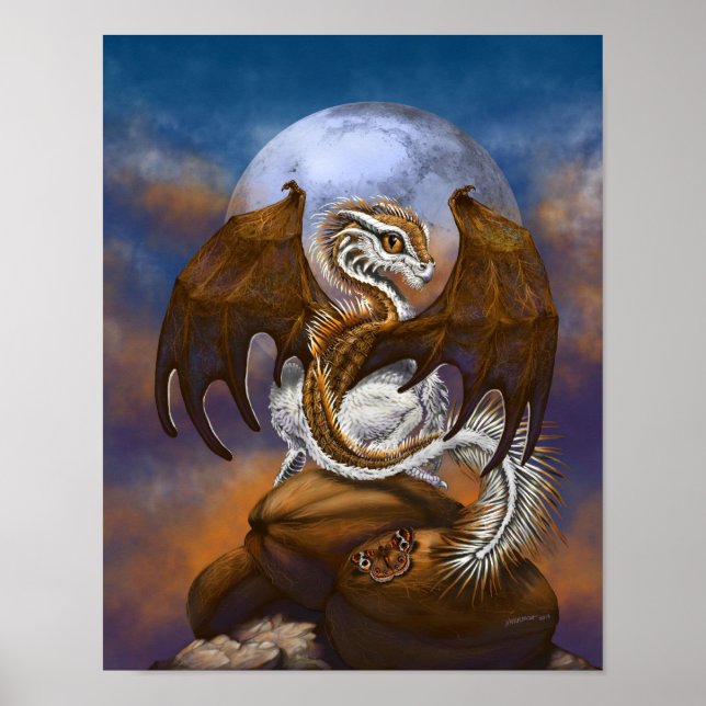 Pôster Coconut Dragon 11x14 (4x6 and up) (Frente)