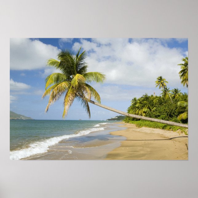 Poster Coconut Grove Beach at Cades Bay, with St. 2 (Frente)