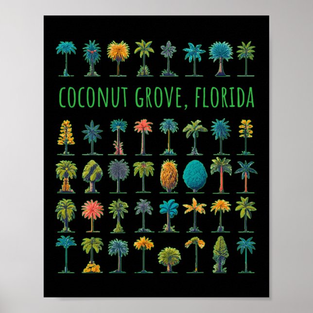 Poster Coconut Grove Flórida (Frente)