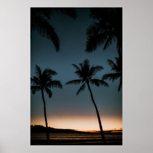 Poster Coconut trees silhouette