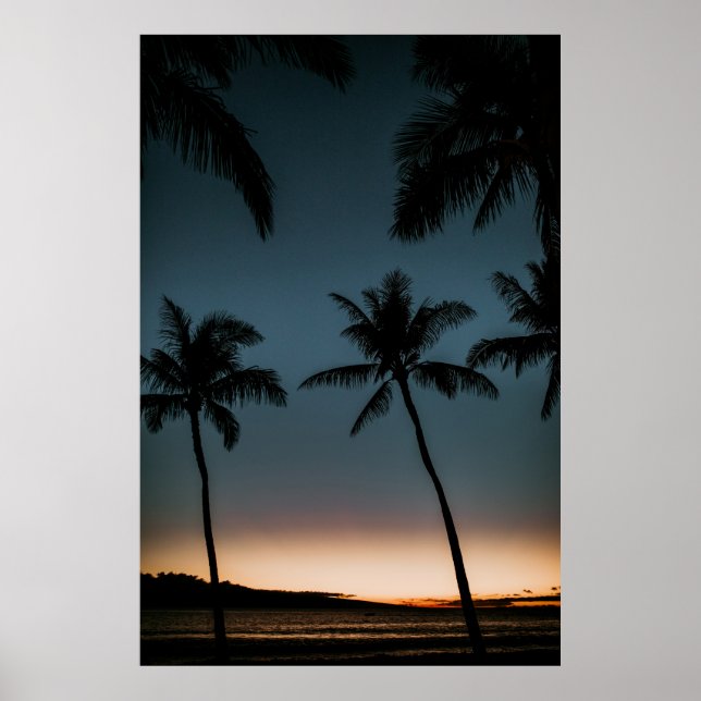 Poster Coconut trees silhouette (Frente)