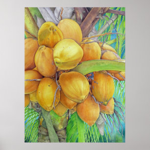 Pôster Cocos dourados