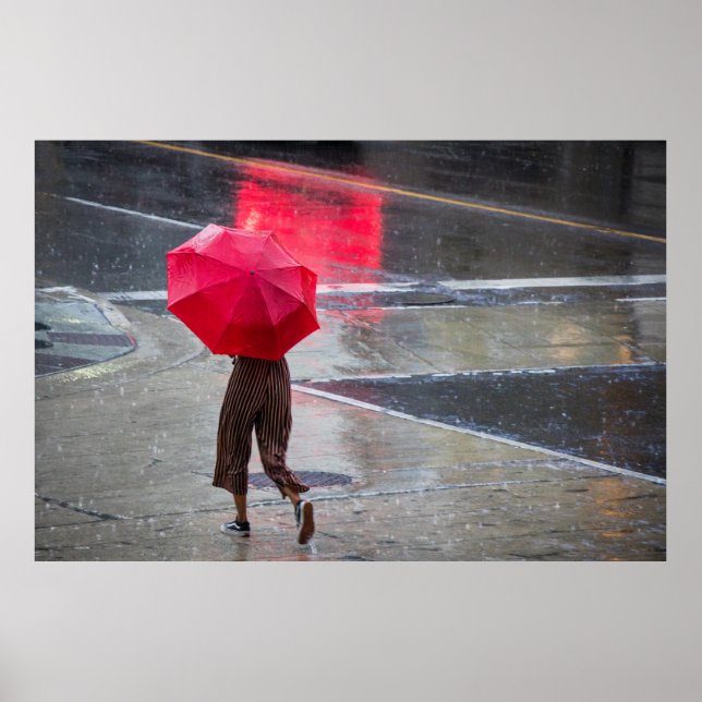 Poster code in quiet (Frente)