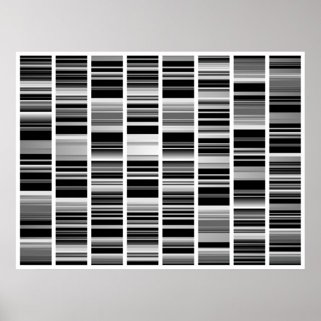 Pôster Codex (Frente)