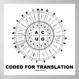 Pôster Codificado para a tradução (roda do Codon do RNA