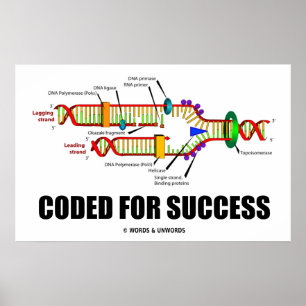 Pôster Codificado para o sucesso (réplica do ADN)