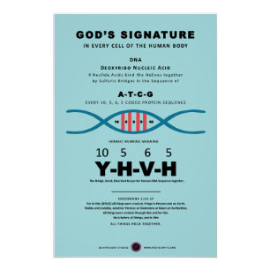 Pôster Código DNA-YHVH
