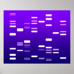 Poster Código Genético DNA Roxo