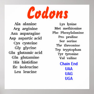 Poster Codões