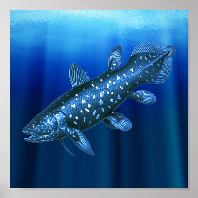 Poster Coelacanth (Frente)