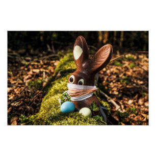 Pôster Coelhinho de Chocolate Corona