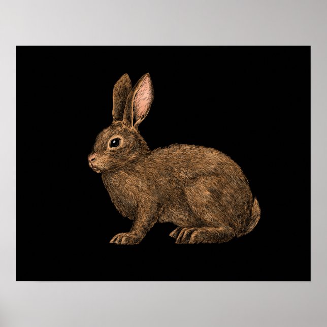 Poster Coelho 2 (Frente)
