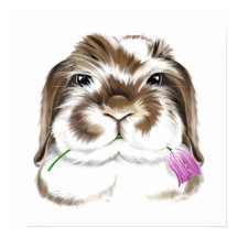 Coelho Adorável American Fuzzy Lop com Tulipa rosa