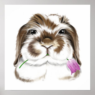 Poster Coelho Adorável American Fuzzy Lop com Tulipa rosa