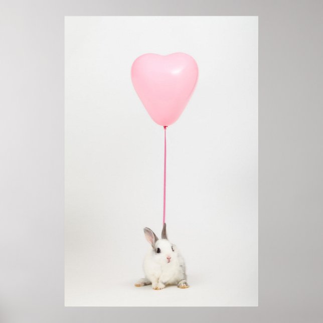 Poster Coelho com balão cor-de-rosa (Frente)