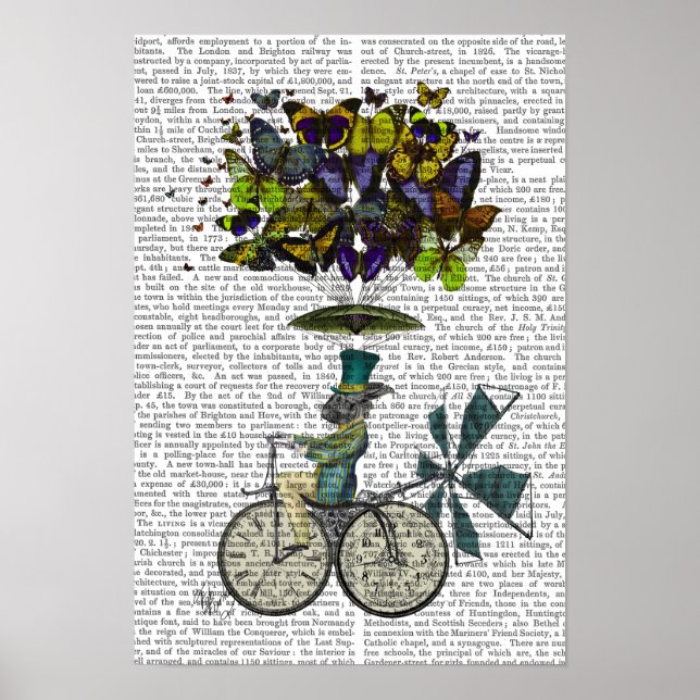 Poster Coelho das Moscas do Tempo (Frente)