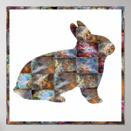 Poster COELHO: Design gráfico