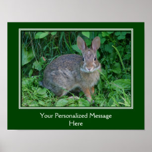 Poster Coelho Marrom Selvagem Personalizado