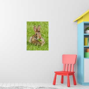 Poster Coelho Selvagem Bonito Comendo Coelho