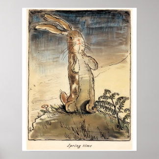 Poster Coelho Velveteen, Primavera