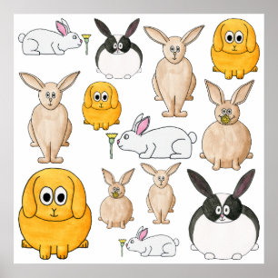 Pôster Coelhos